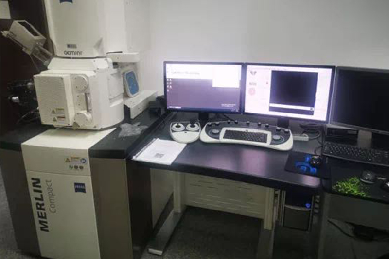 场发射扫描电子显微镜